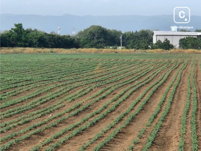 Terreno en venta en Managua – 155,102 m²