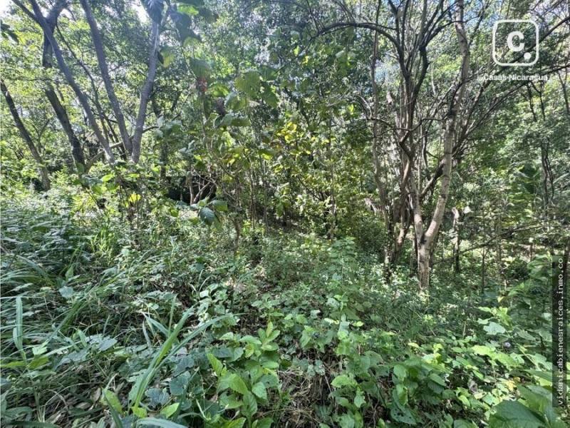 Lot for sale in Carretera Sur, Managua – 3,414 m²