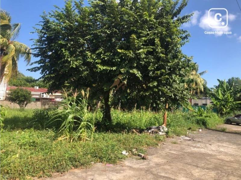 Terreno en venta en Carretera Masaya, Managua – 1,816 m²