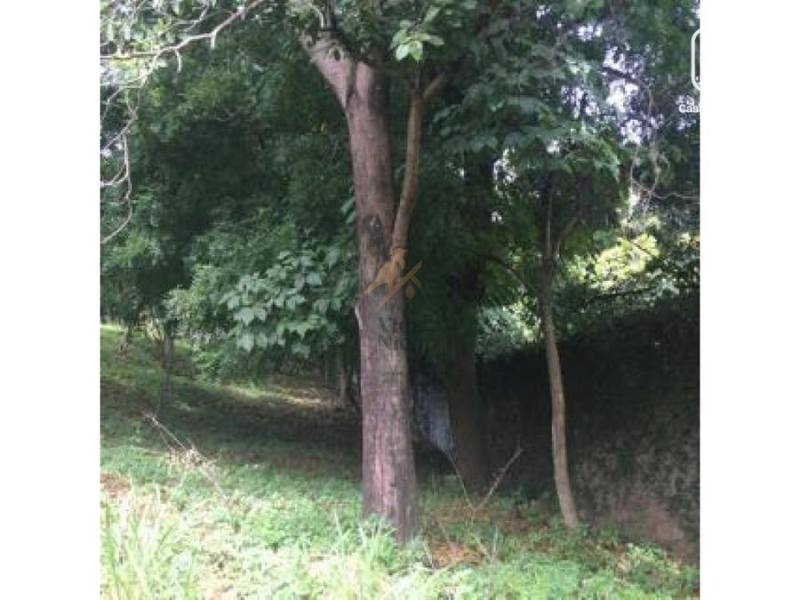 Terreno en venta en Santo Domingo, Managua – 1,648 m²