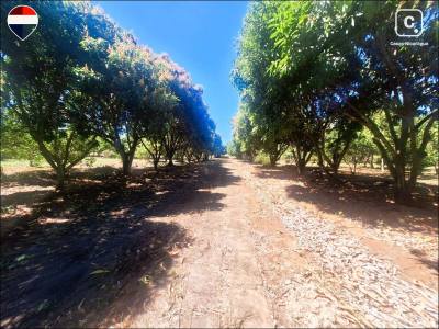 Finca en venta en Nindirí, Masaya – 40 m²