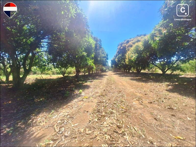 Finca en venta en Nindirí, Masaya – 40 m²