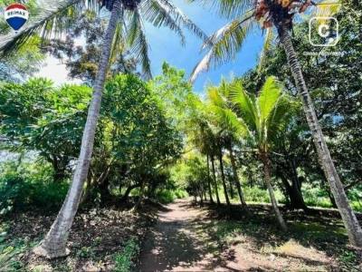 Finca en venta en Diriamba, Carazo – 1 hab, 360,109 m²