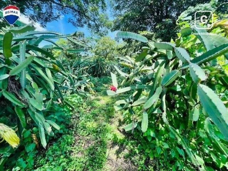 Farm for sale in Diriamba, Carazo – 1 bed, 360,109 m²