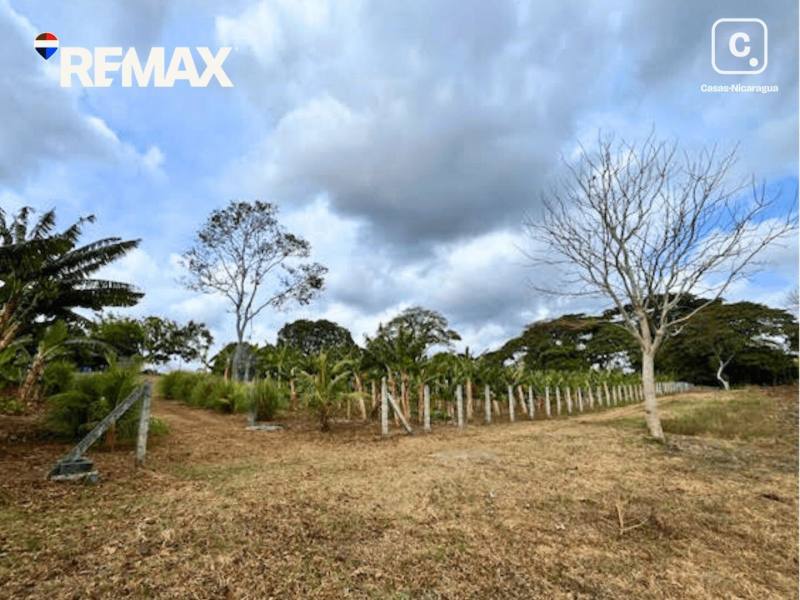 Finca en venta en Masatepe, Masaya – 32,978 m²