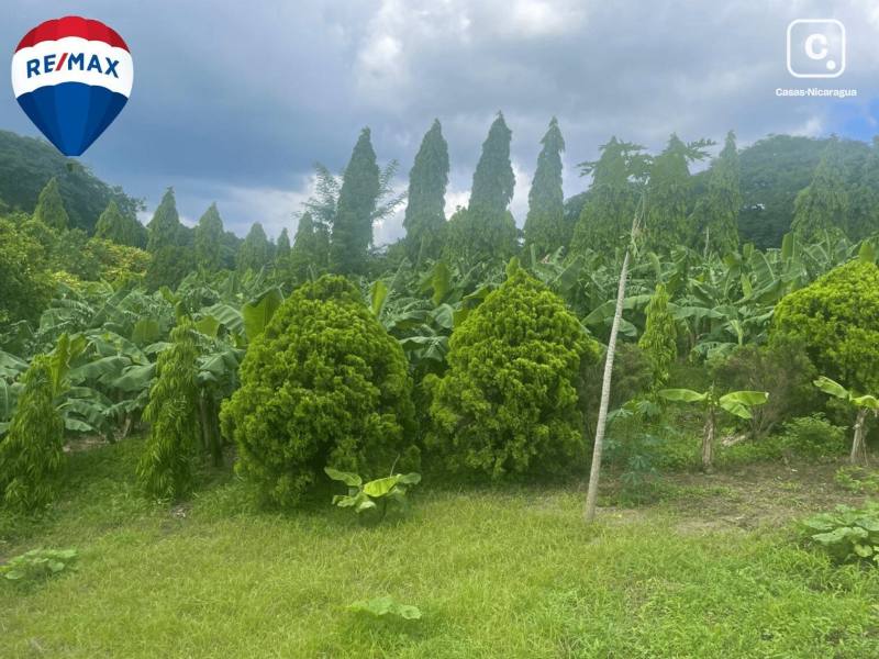 Farm for sale in Carretera Vieja a León, Managua – 9,725 varas²