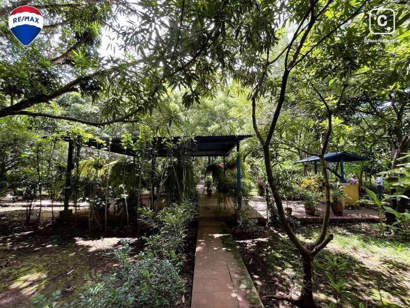 Farm for sale in Masaya – 60 m²