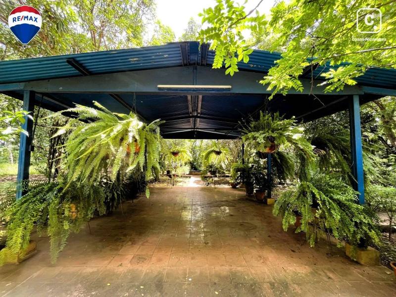 Farm for sale in Masaya – 60 m²