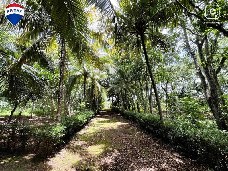 Finca en venta en Masaya – 60 m²