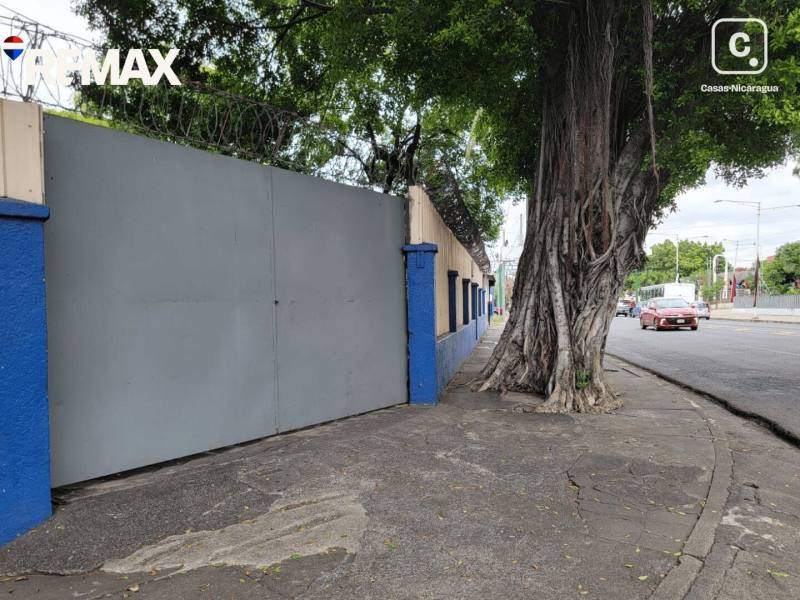 Commercial unit for rent in Colonia Managua, Managua – 500 m²