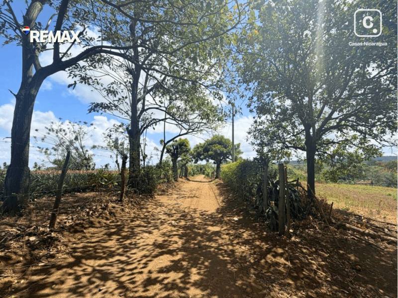 Finca en venta en Ticuantepe, Managua – 21,434 m²