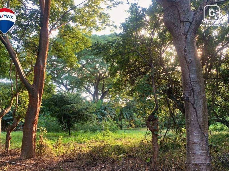 Terreno en venta en Carretera Masaya, Managua – 5,240 m², US$ 172,500