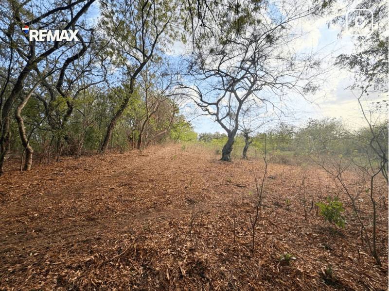 Finca en venta en Chiquilistagua, Managua – 300,000 varas²