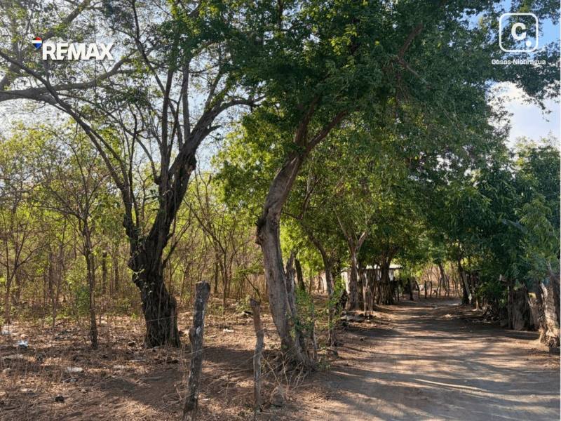 Finca en venta en Chiquilistagua, Managua – 300,000 varas²