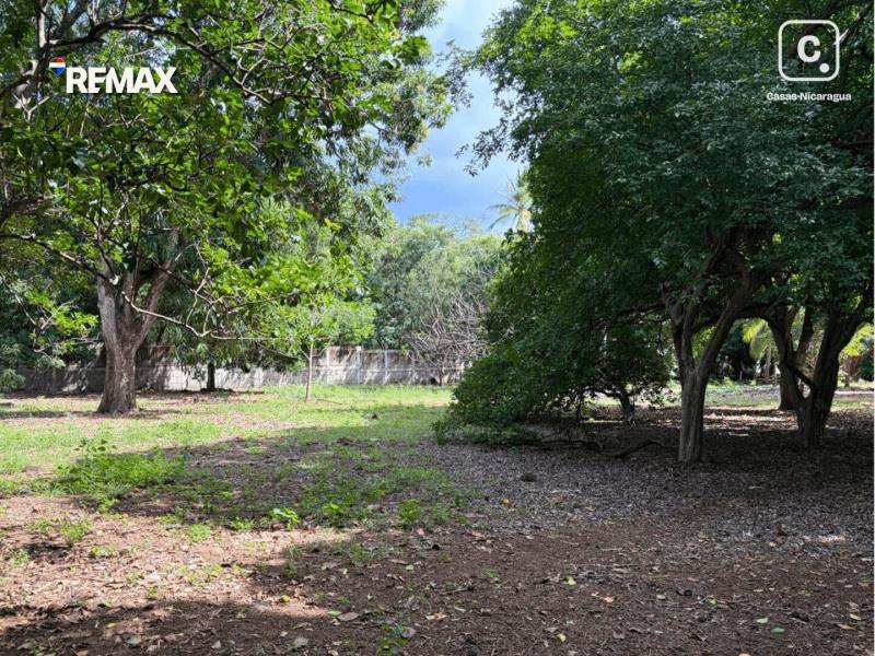 Lot for sale in Carretera Masaya, Managua – 14,298 m²