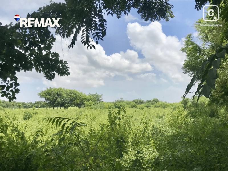 Commercial unit for sale in Nindirí, Masaya – 10,390 varas²