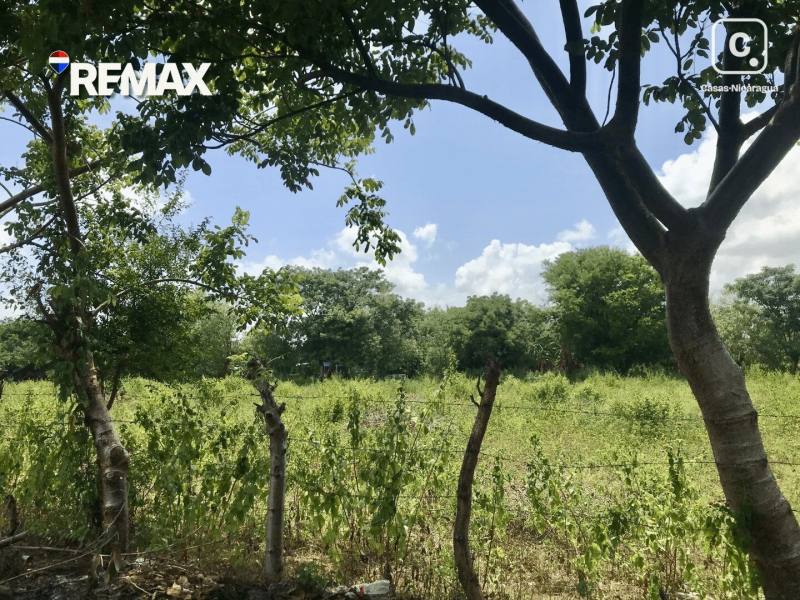 Commercial unit for sale in Nindirí, Masaya – 10,390 varas²