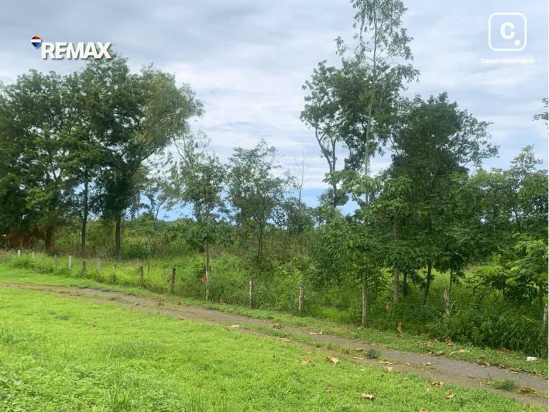 Lot for sale in Nindirí, Masaya – 17,467 m²