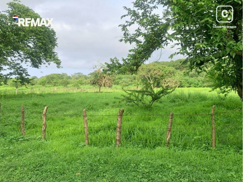 Commercial unit for sale in Isla de Ometepe, Rivas – 6,987 m²