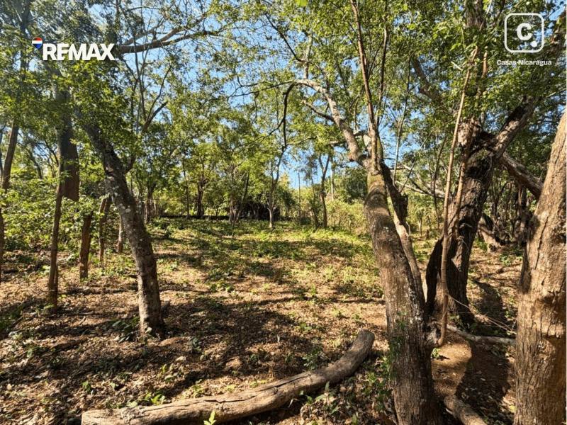 House for sale in Villa Fontana, Managua