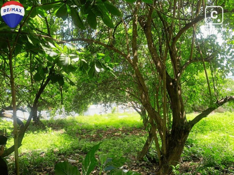 Terreno en venta en Colonia Managua, Managua – 704 m²