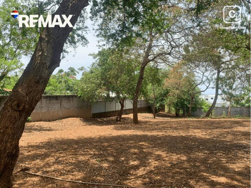 Local comercial en venta en Carretera Masaya, Managua – 699 varas²