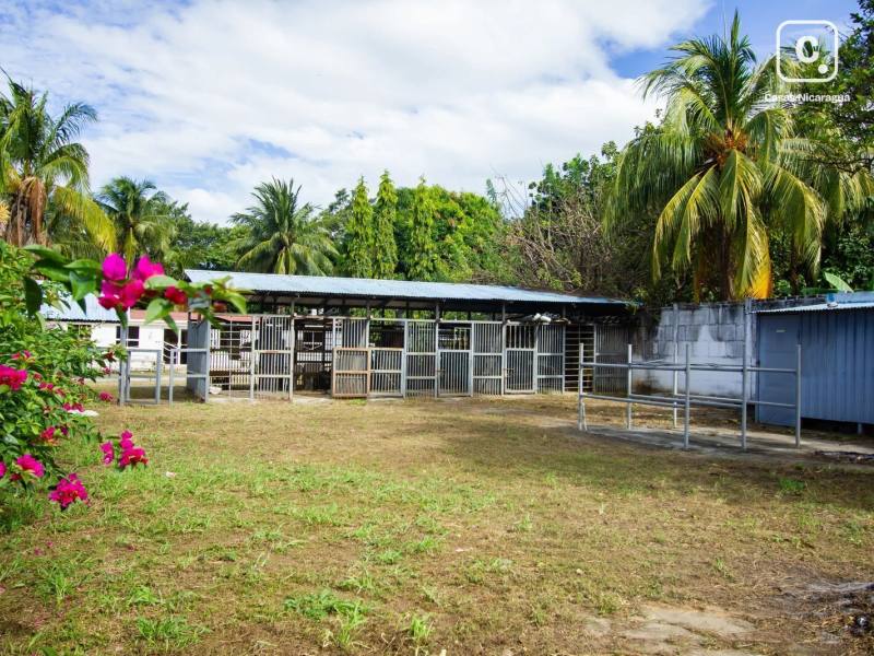 Local comercial en venta en Rivas – US$ 385,000