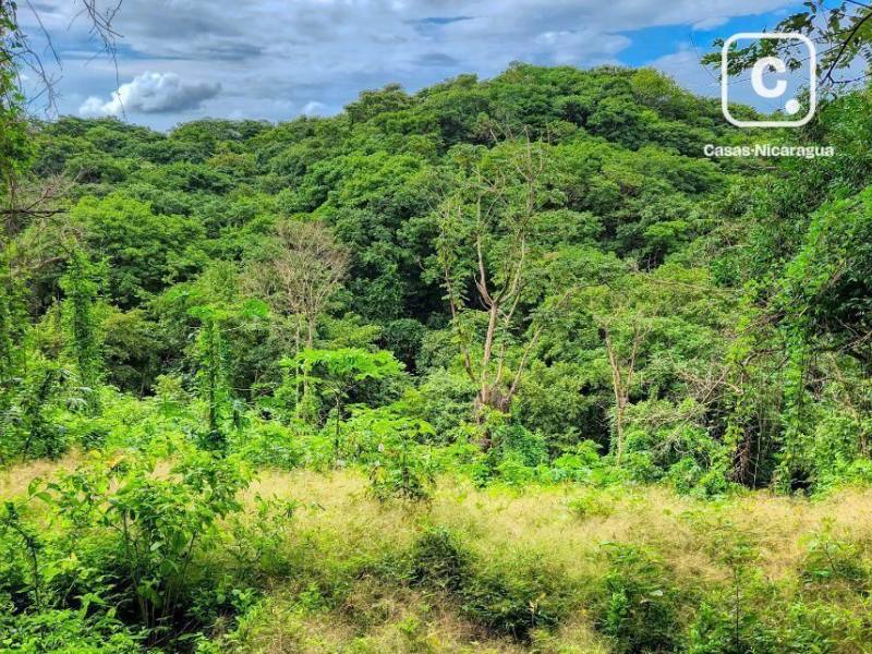 Lot for sale in San Juan del Sur, Rivas – 303,514 m²