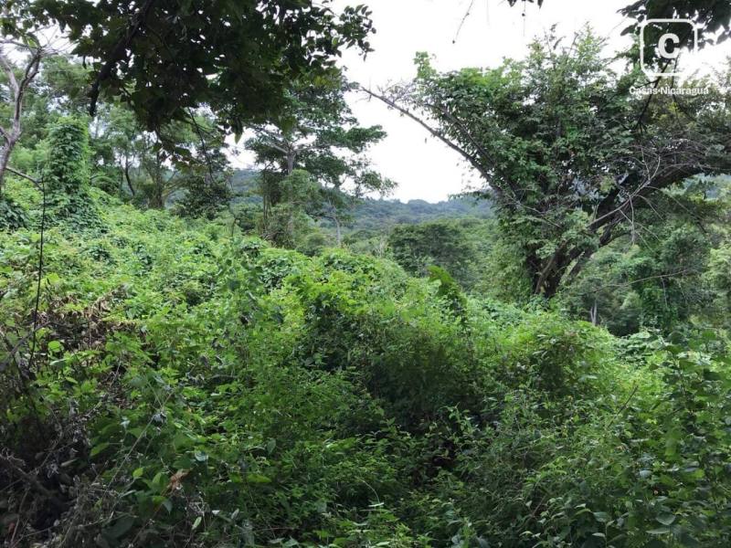 Terreno en venta en Tola, Rivas – 89,030 m²