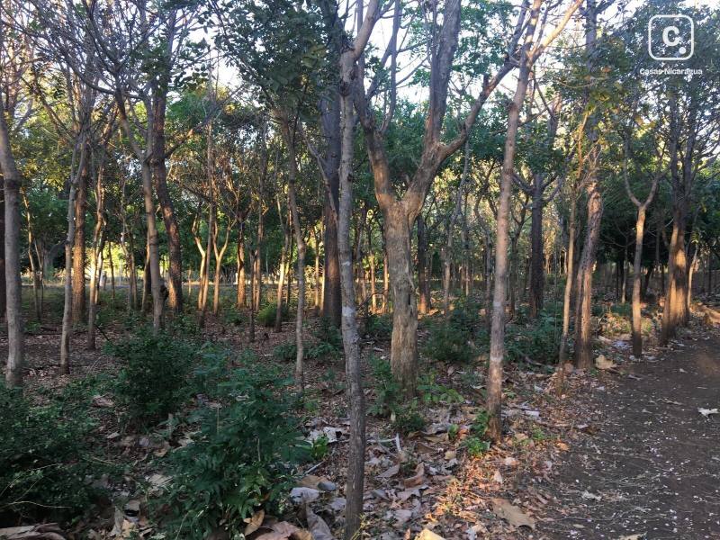 Terreno en venta en Tola, Rivas – 11,331 m²