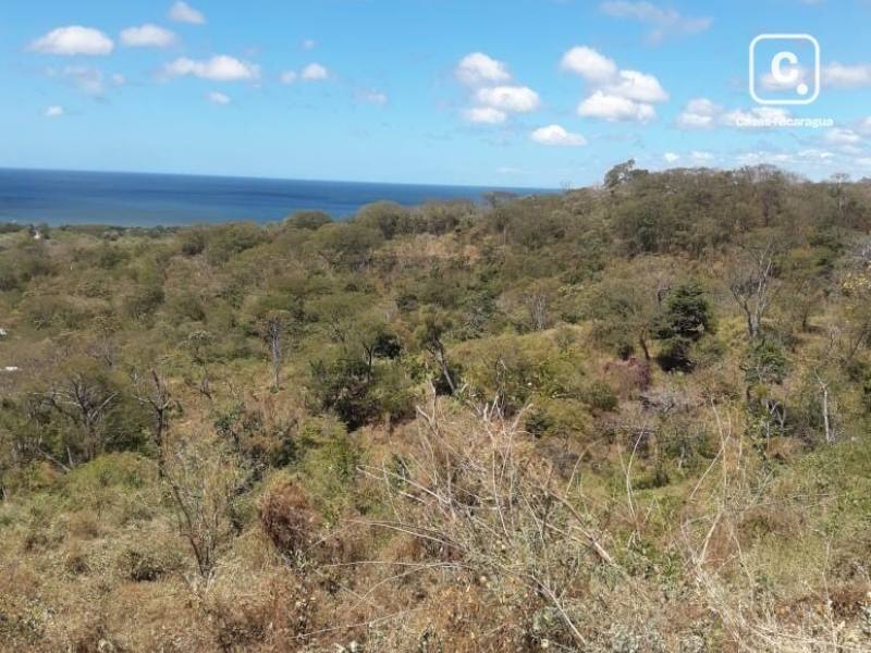 Lot for sale in Tola, Rivas – 73,384 m²