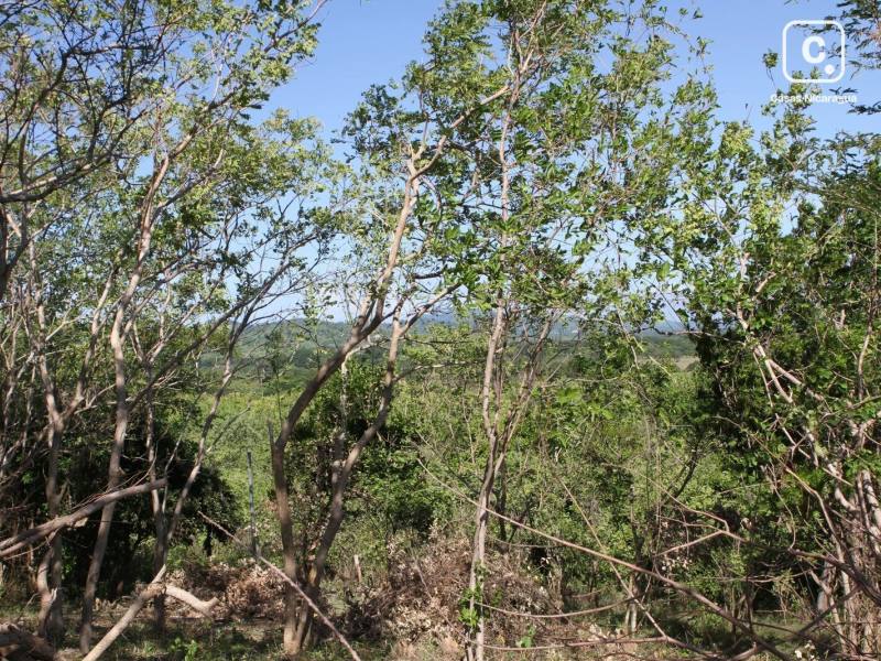 Lot for sale in Tola, Rivas – 2,475 m²