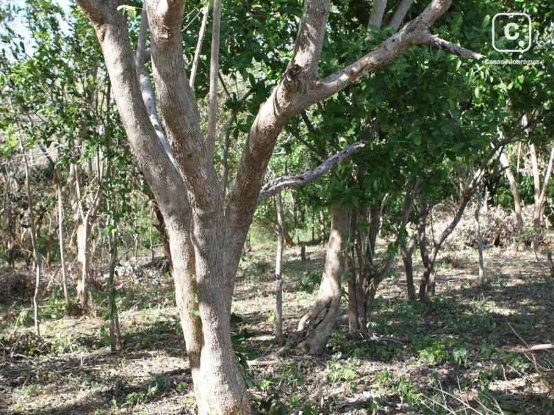 Lot for sale in Tola, Rivas – 2,475 m²