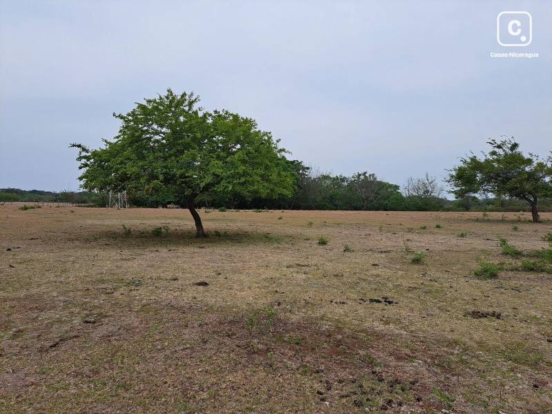 Lot for sale in Granada – 28,328 m²