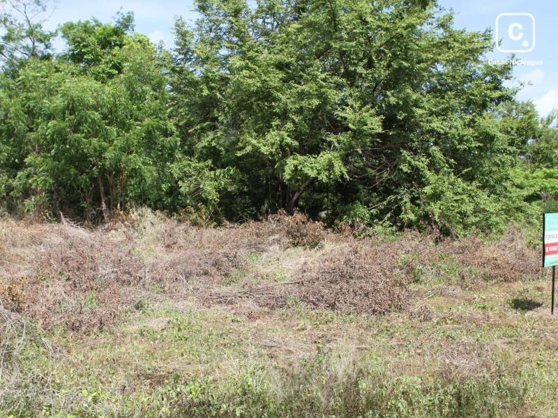 Lot for sale in Tola, Rivas – 954 m²