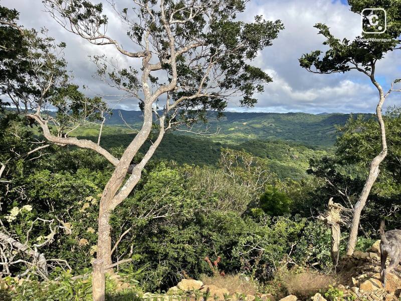 Lot for sale in Rivas – 9,348 m²