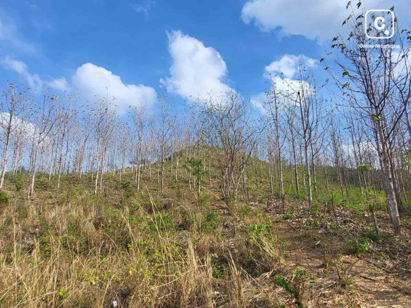 Lot for sale in Tola, Rivas – 178,061 m²