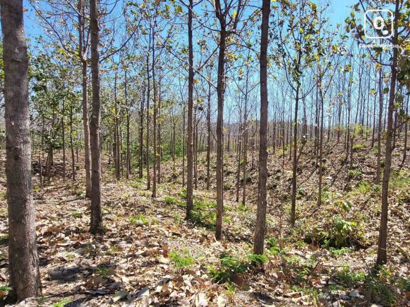 Lot for sale in Tola, Rivas – 178,061 m²