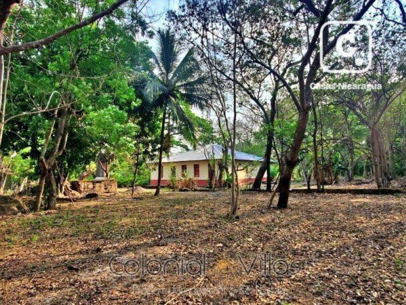 Farm for sale in Diriomo, Granada – 56,639 m²