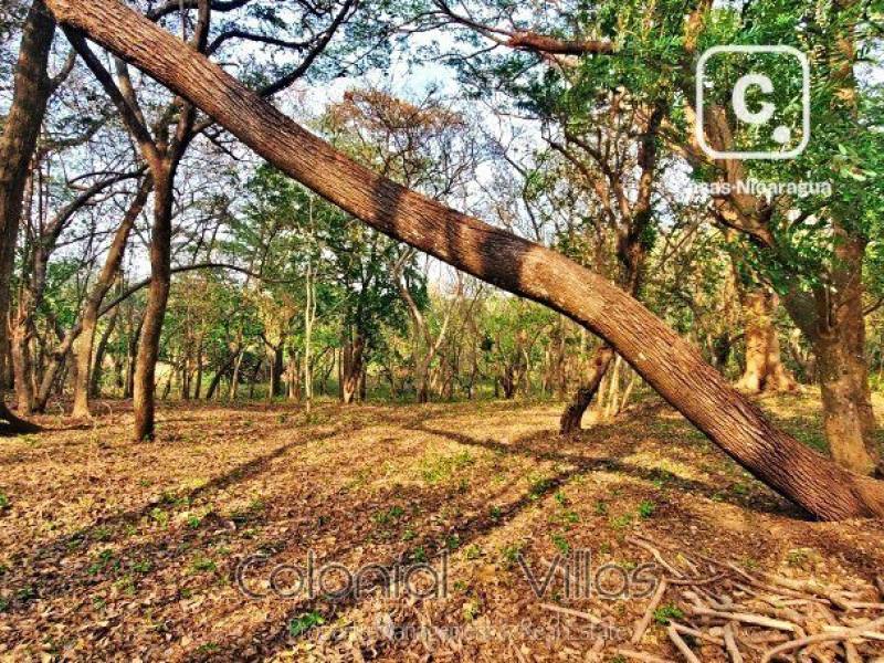 Farm for sale in Diriomo, Granada – 56,639 m²