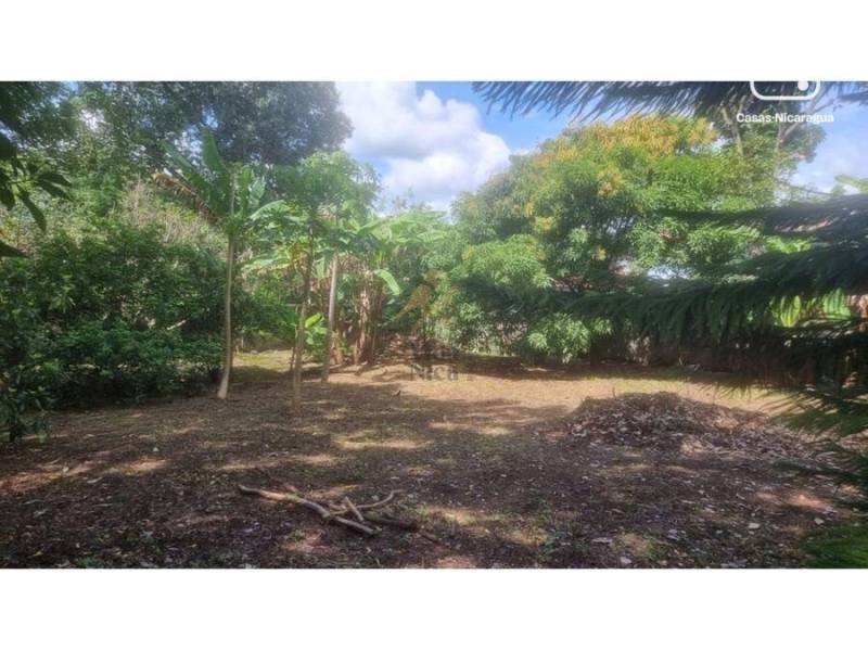 Lot for sale in Managua – 632 m²