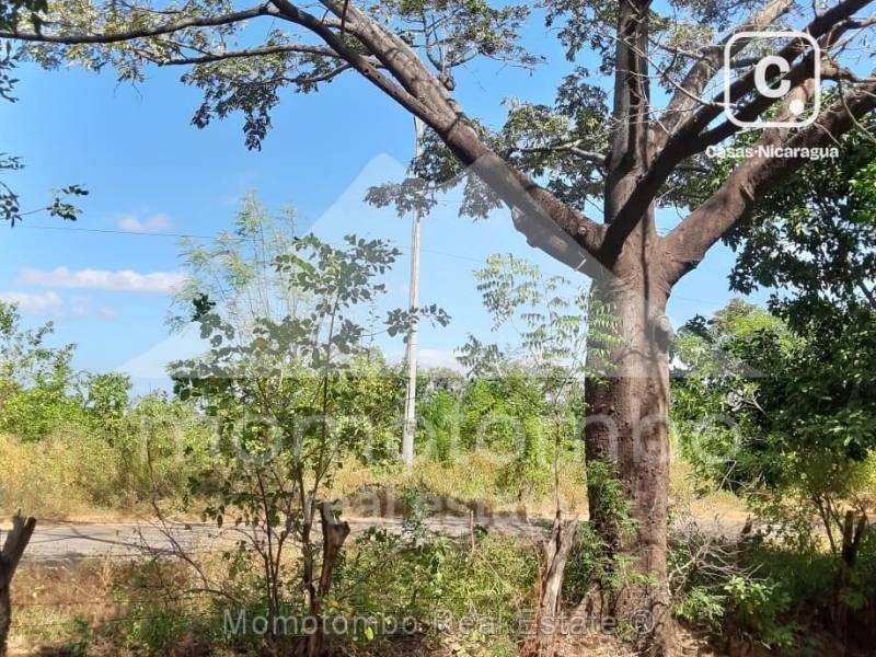 Farm for sale in Villa el Carmen, Managua – 80 m²