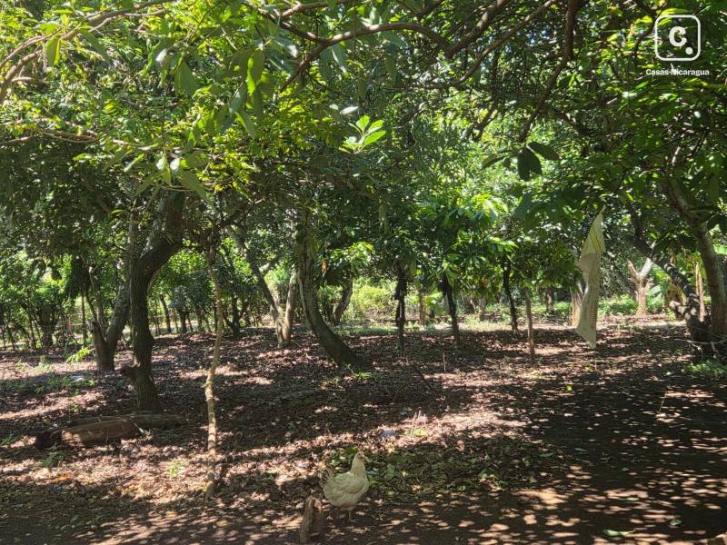 Casa en venta en Nindirí, Masaya – 2 hab