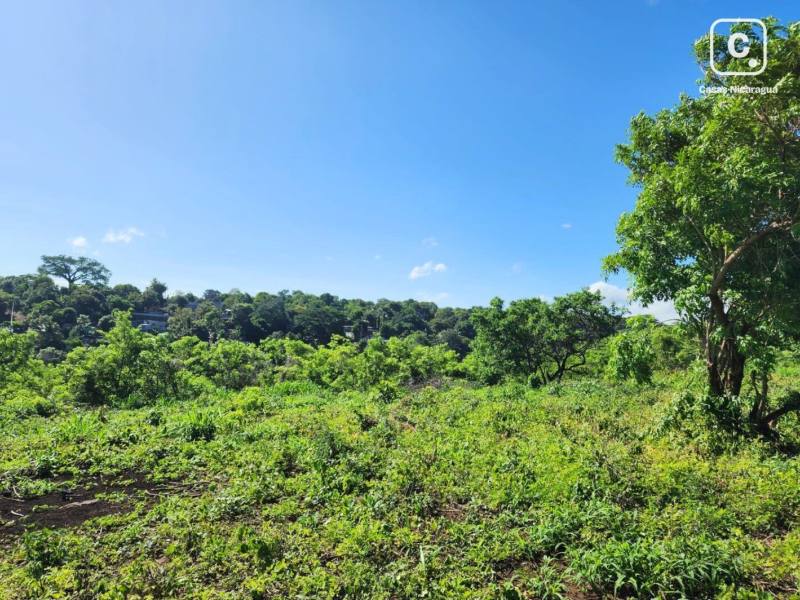 House for sale in Carretera Sur, Managua – 11,819 m²