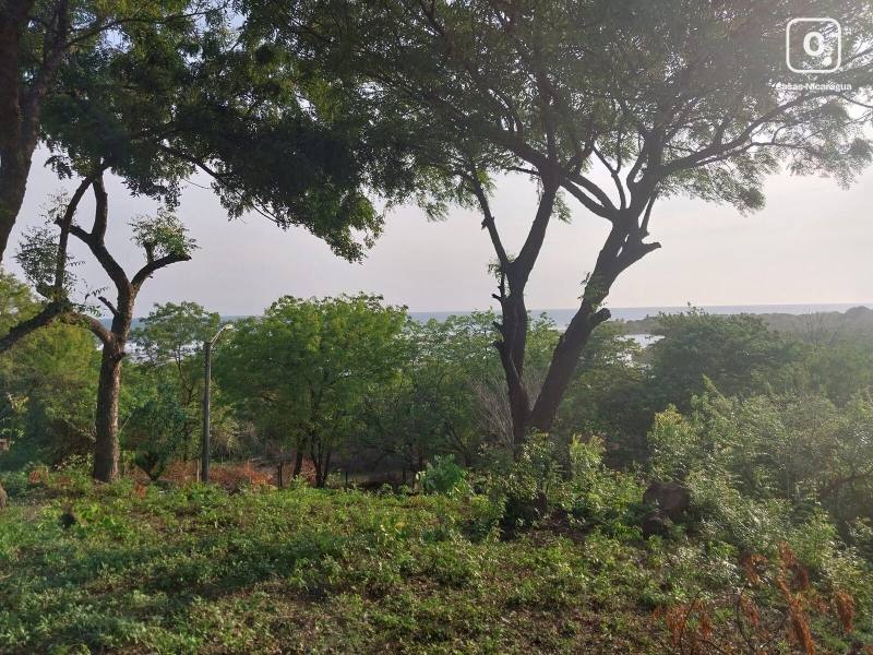 Terreno en venta en León – 677 varas²