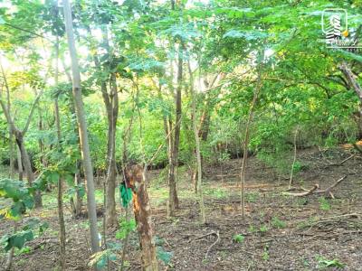 Casa en venta en Suburbana, Managua – 7,501 varas²