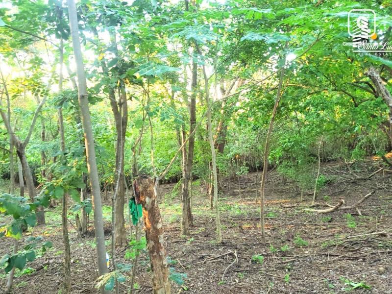House for sale in Suburbana, Managua – 5,241 m²