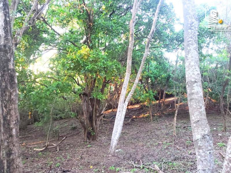 House for sale in Suburbana, Managua – 5,241 m²