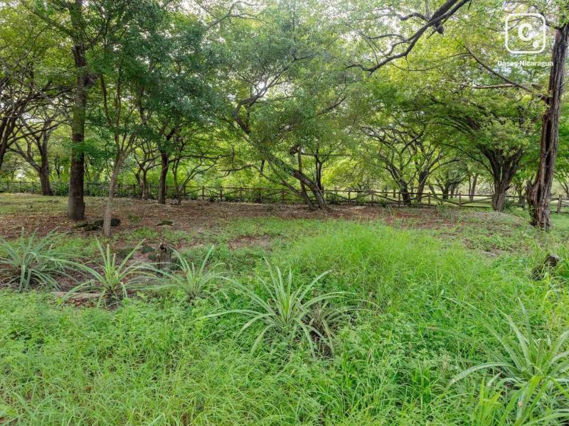 Terreno en venta en Tola, Rivas – 500 m²