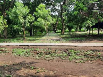 Terreno en venta en Sábana Grande, Managua – 583 varas²